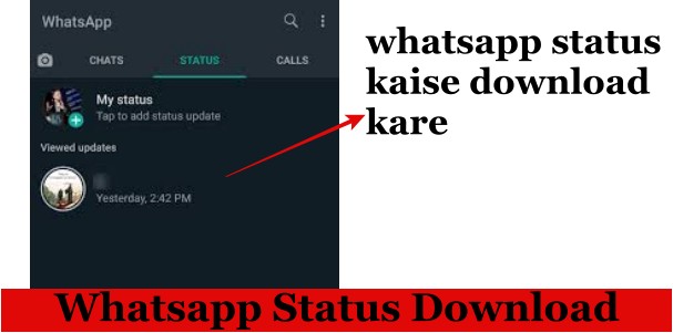 Whatsapp Status downloadWhatsapp Status download