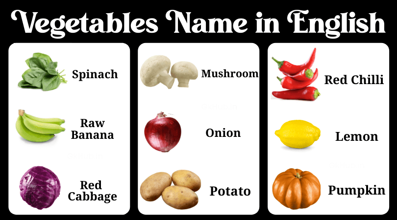 वेजिटेबल नेम इन हिंदी vegetable name in hindi